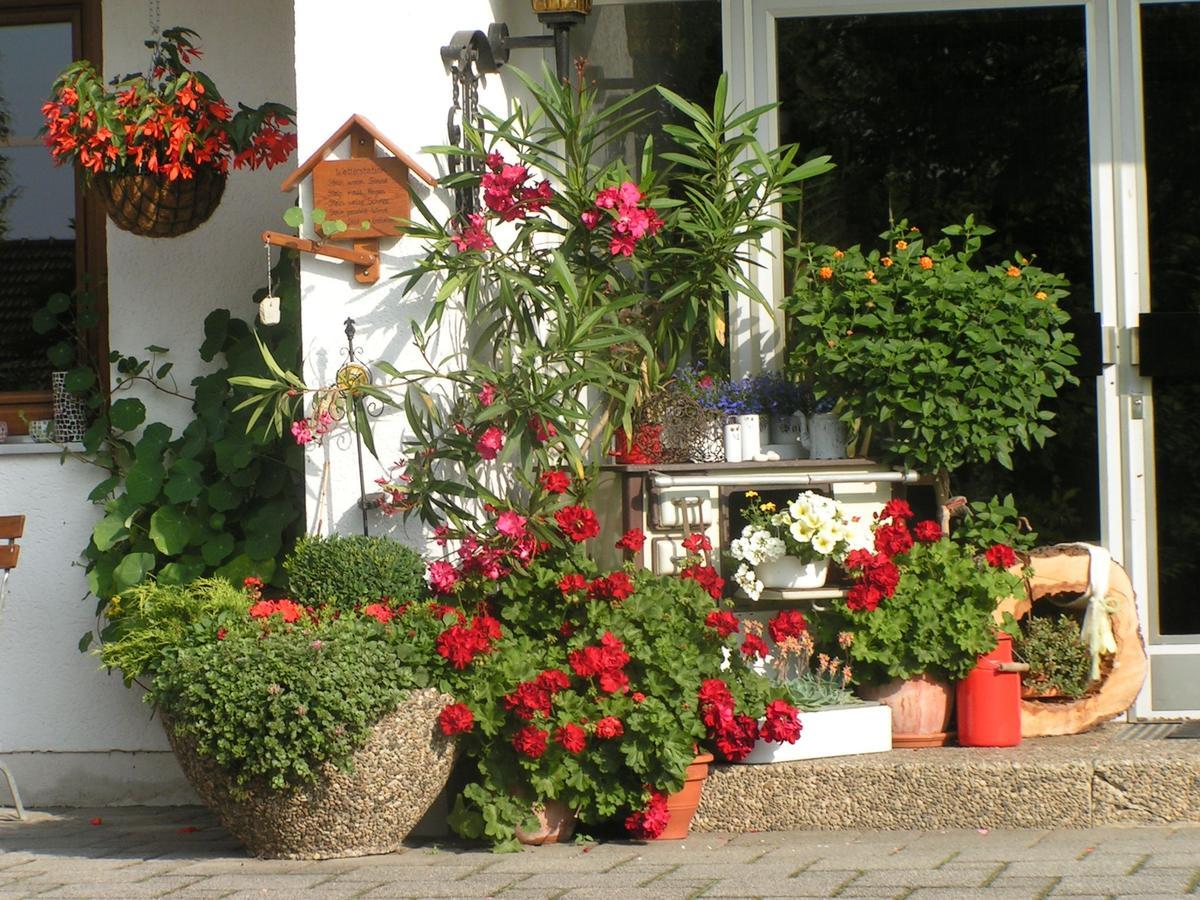 Pension Zum Ebenstein Am Donausteig Untergriesbach Εξωτερικό φωτογραφία